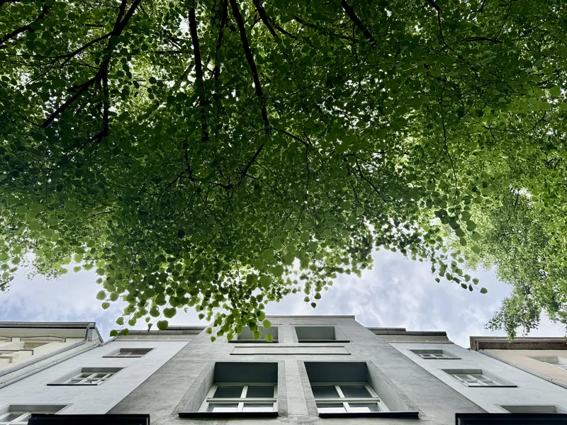 Befristet für 5 Jahre! Einzigartige Dachgeschosswohnung im Herzen vom Prenzlauer Berg — photo 1